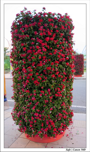 2009   08   Putrajaya 091